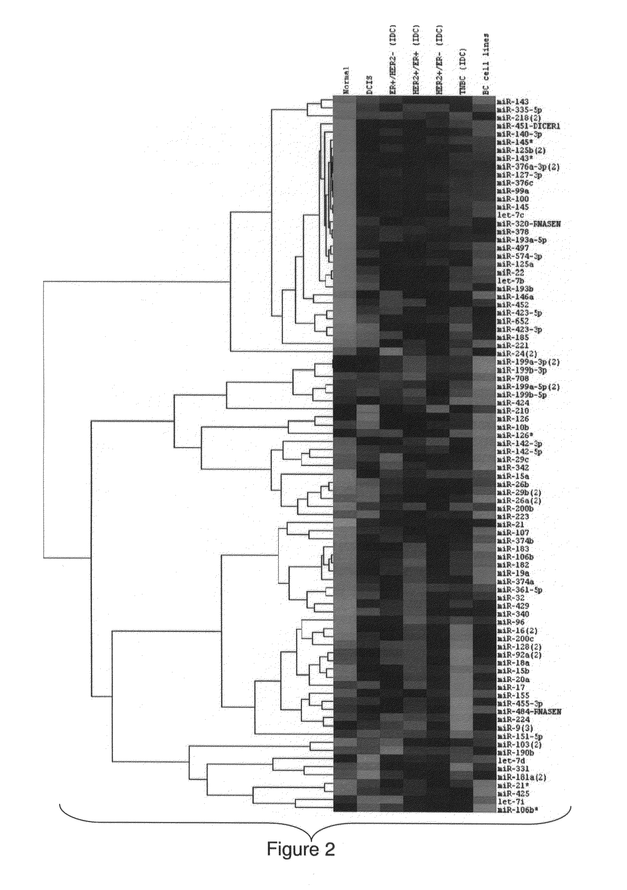 Breast Cancer Biomarker Signatures for Invasiveness and Prognosis