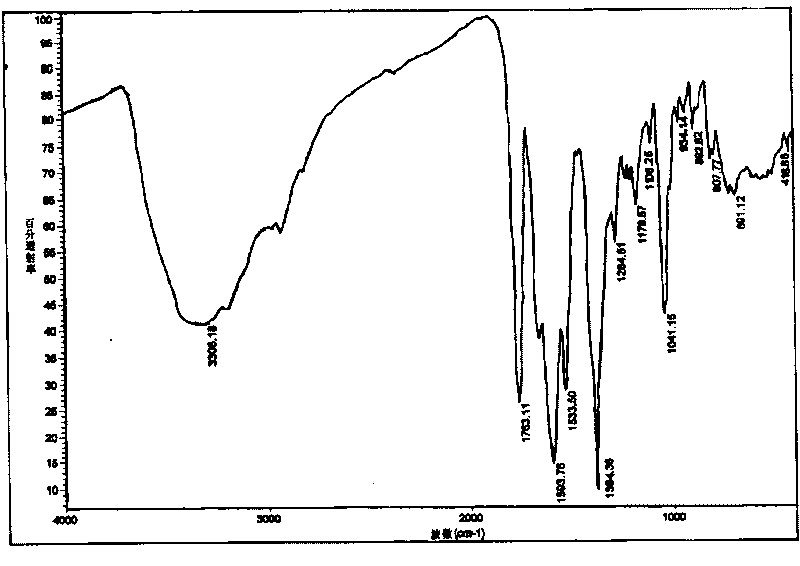 Amorphous cefodizime sodium and preparation method thereof and pharmaceutical composition comprising same