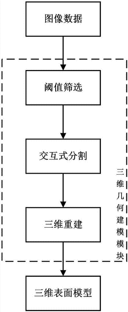 A simulation system for simulating fracture healing process