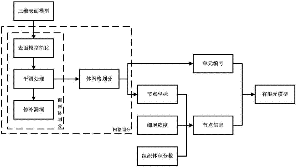 A simulation system for simulating fracture healing process