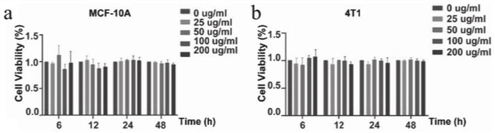 Targeted drug nano system as well as preparation method and application thereof