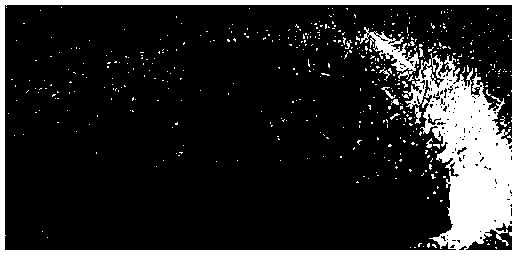 Manufacturing method for single ZnO micron wire homojunction light emitting diode