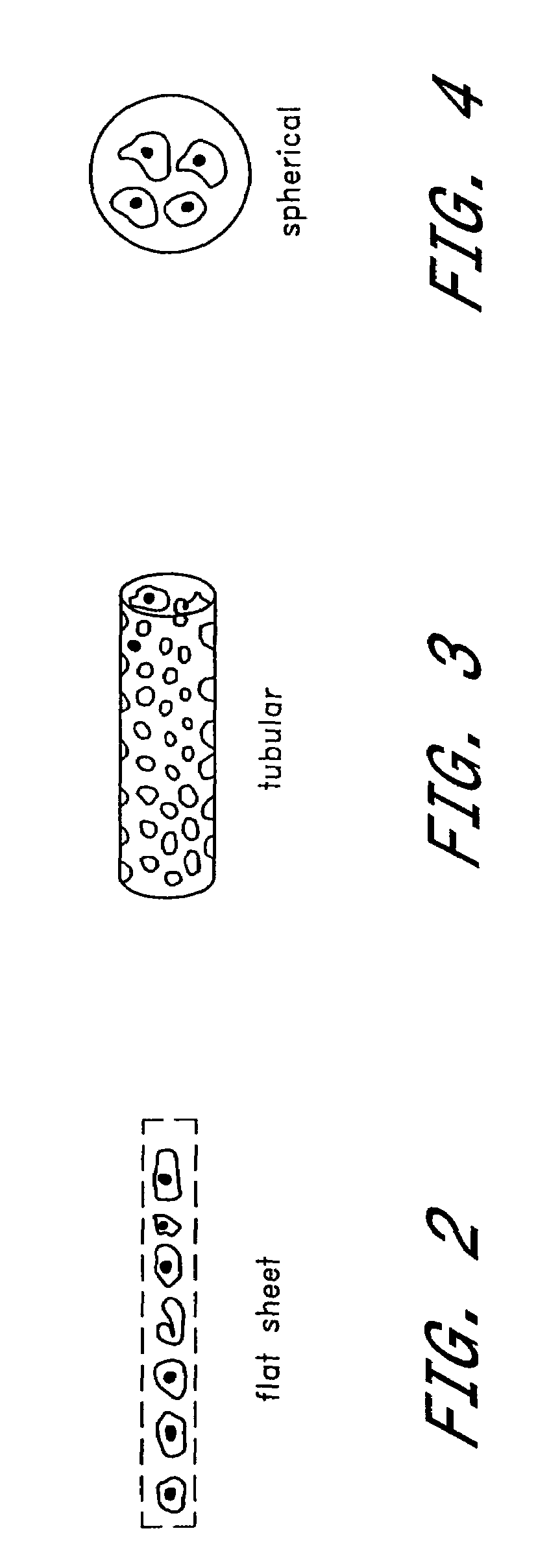 Method of treatment of diabetes through induction of immunological tolerance