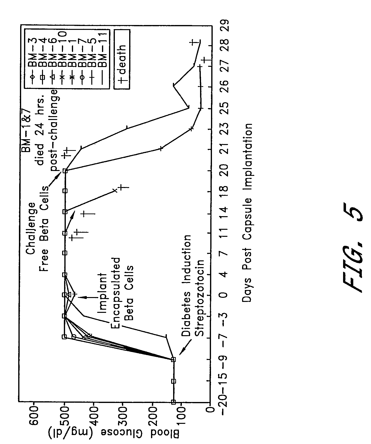 Method of treatment of diabetes through induction of immunological tolerance