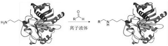 0-6-month infant formula milk powder simulating breast milk lipids on molecular level and preparation method of formula milk powder