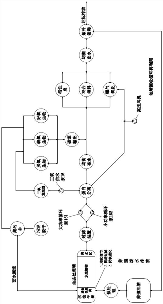 Culture wastewater purification treatment system and process