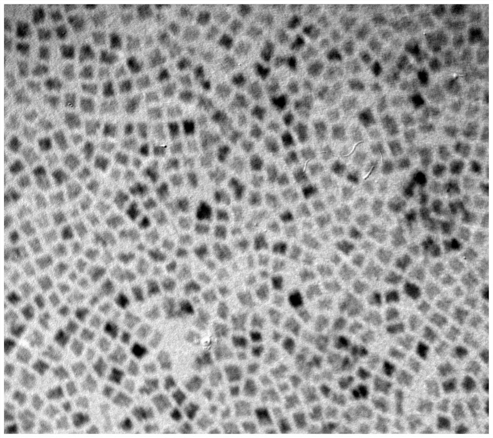 Catalyst for fuel cell, preparation method of catalyst and fuel cell