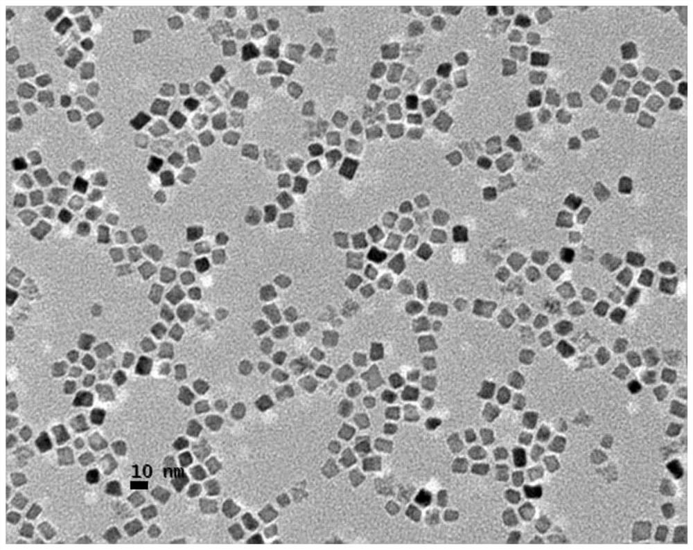 Catalyst for fuel cell, preparation method of catalyst and fuel cell