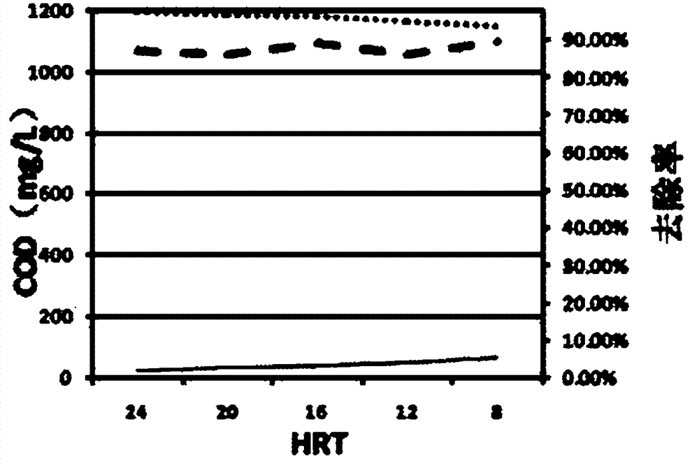 Carbon and nitrogen removal system based on moving bed biomembrane reactor