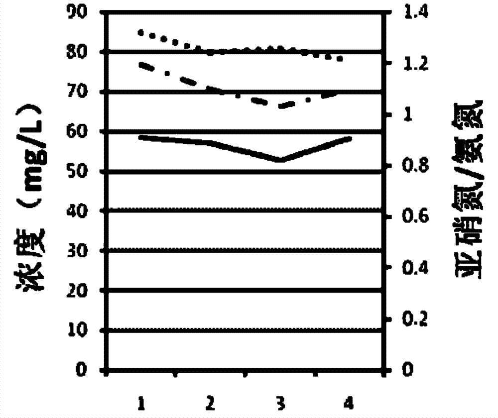 Carbon and nitrogen removal system based on moving bed biomembrane reactor