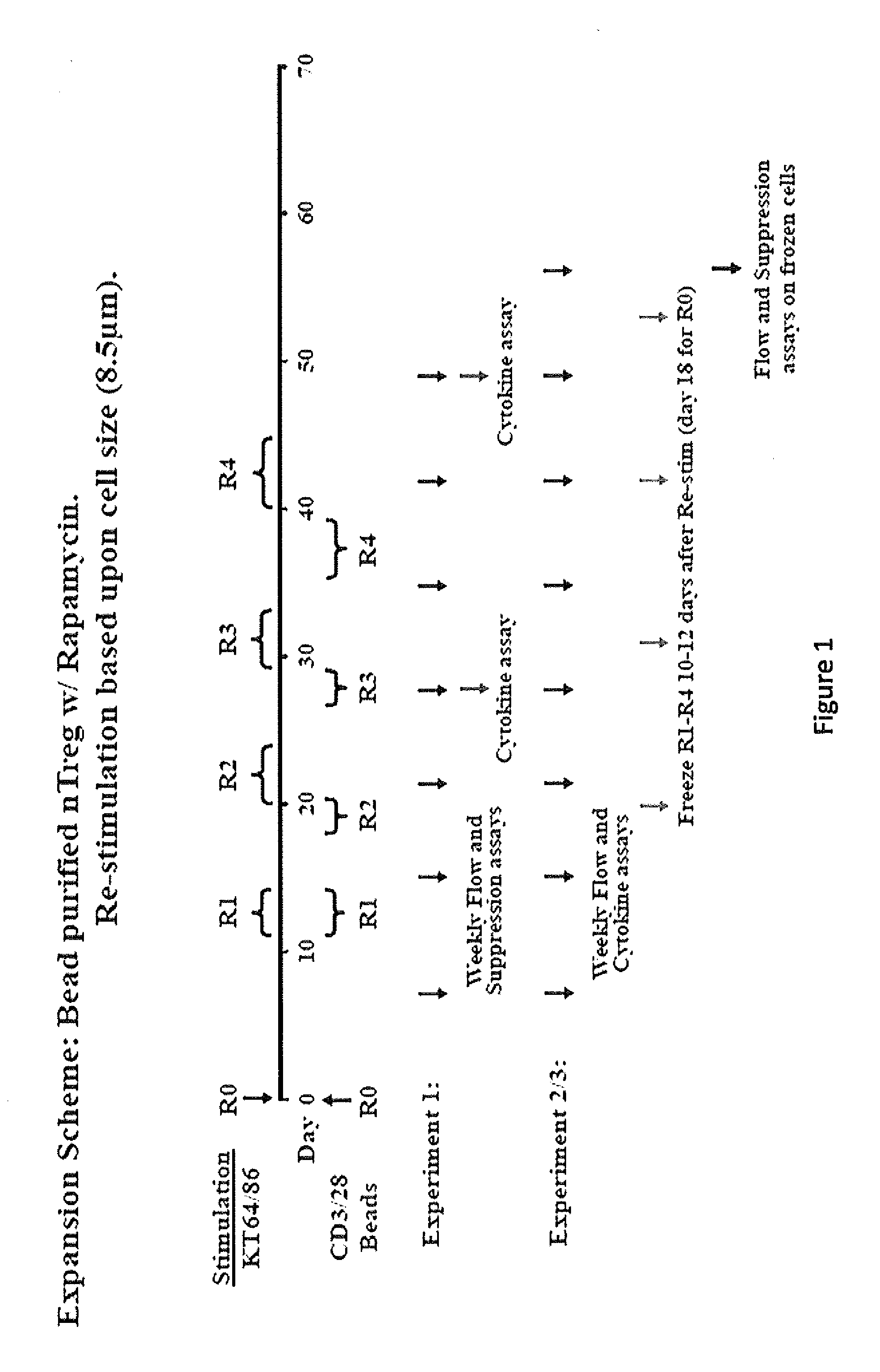 Methods to Expand a T Regulatory Cell Master Cell Bank