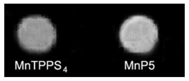 Manganese (III) porphyrin pentamer contrast agent applied to magnetic resonance imaging and application thereof