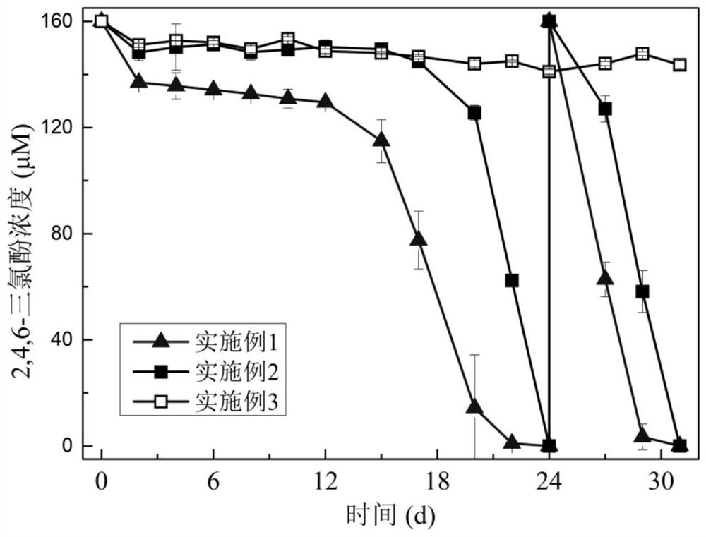 Bioelectrochemical device for synchronously degrading chlorophenol in water phase by cathode and anode