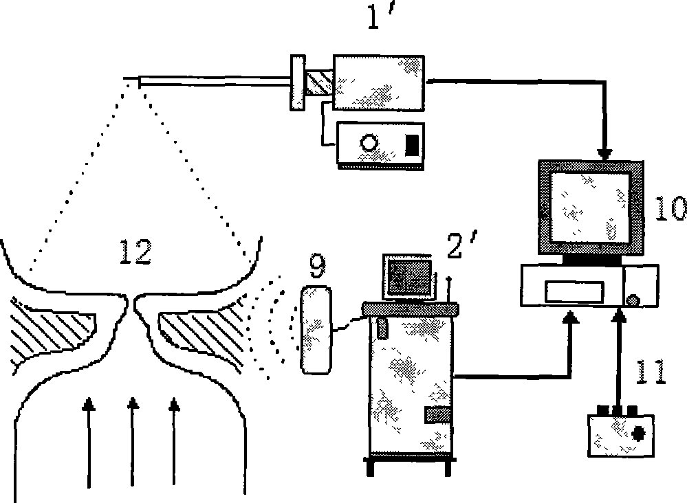 System and method for detecting characteristic of vocal cord vibration mechanics