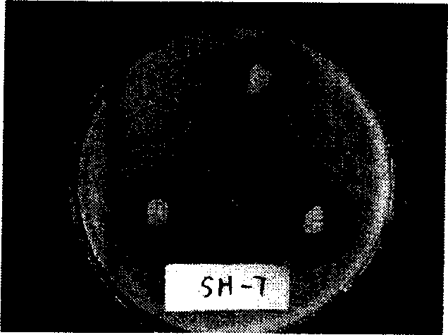 Biological control bacillus subtilis for crop bacterial wilt