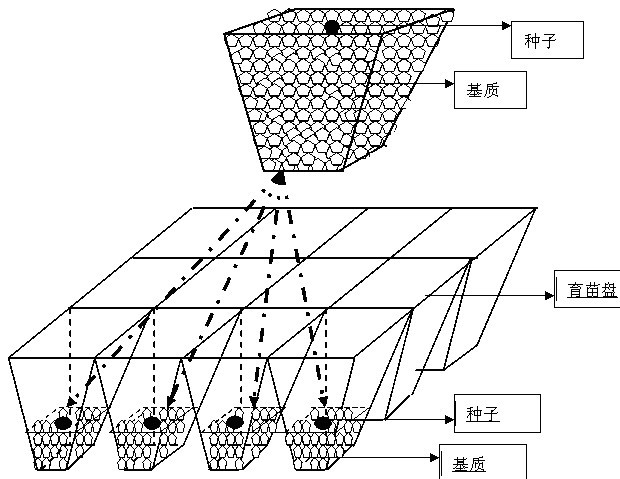 Seedling raising device with direct use and making and use methods thereof