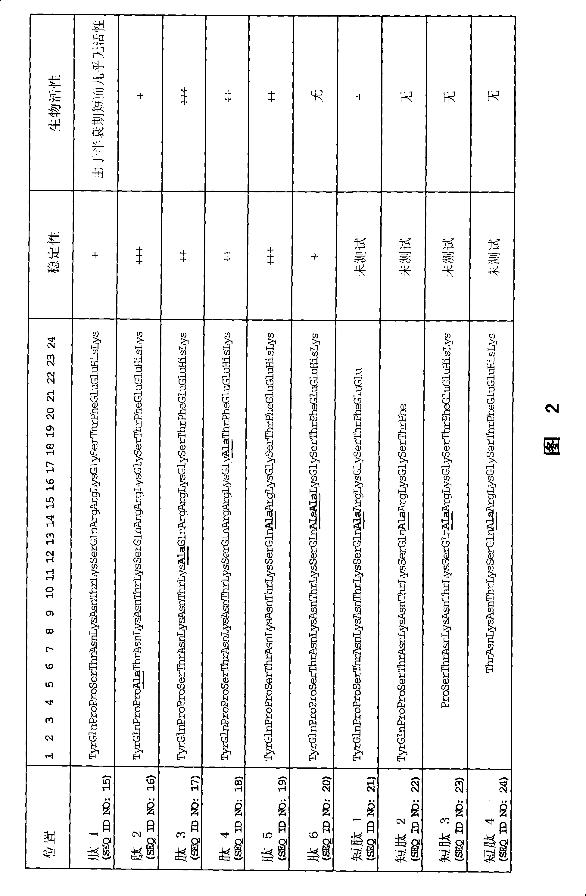 Mecano growth factor peptides and their use