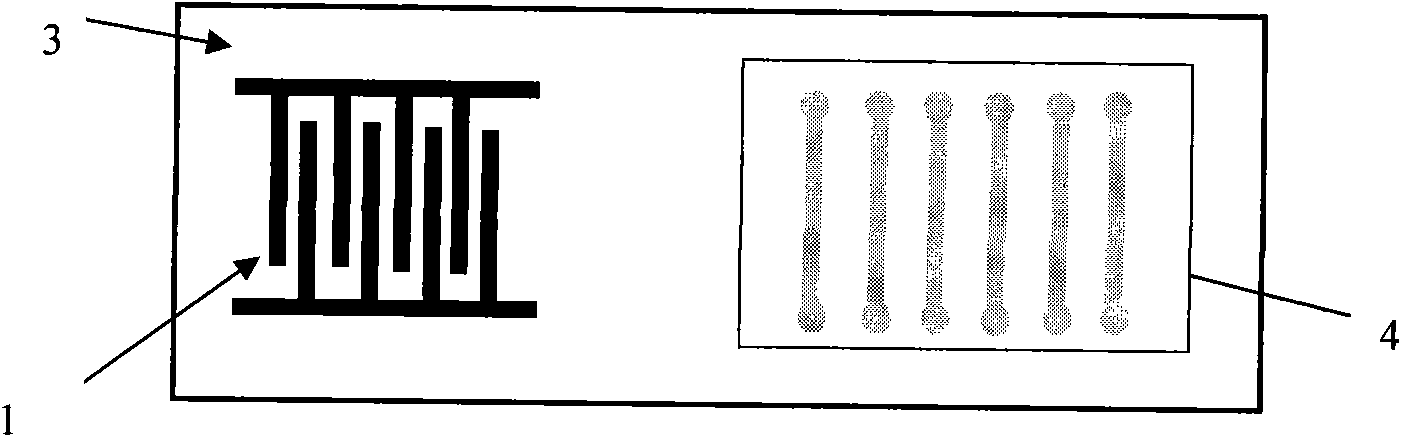 Field programmable surface acoustic wave radio frequency electronic tag