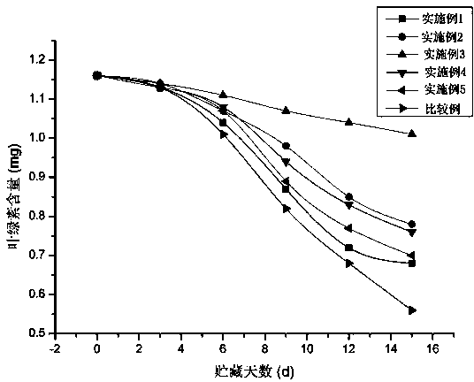 Modified atmosphere freshness keeping production technology of wild Marsilea quadrifolia