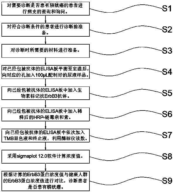 The invention also discloses application of ErbB3 protein in preparation of bladder urothelium carcinoma non-invasive diagnosis product