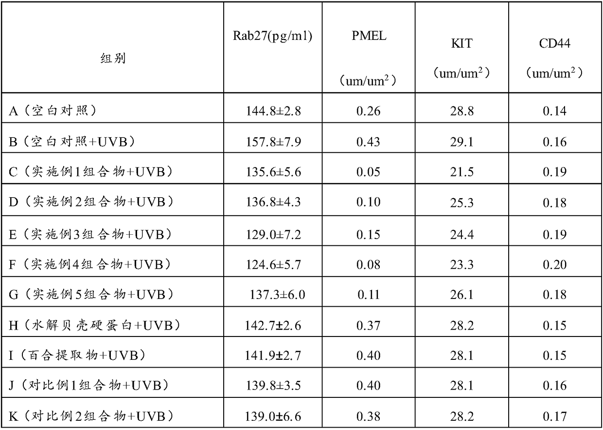 Composition with effects of skin whitening and spot fading, application of composition and skin care product