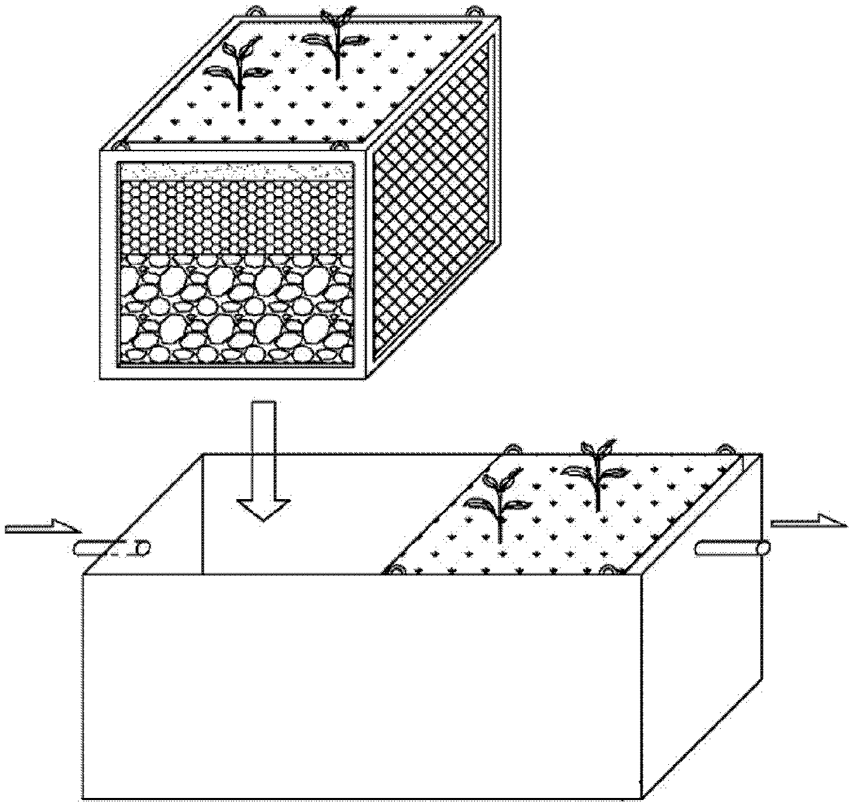 Modularized detachable constructed wetland