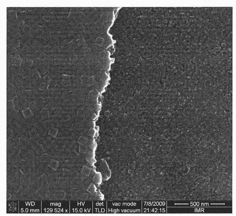 Method for preparing single-layer high-activity titanium dioxide thin film