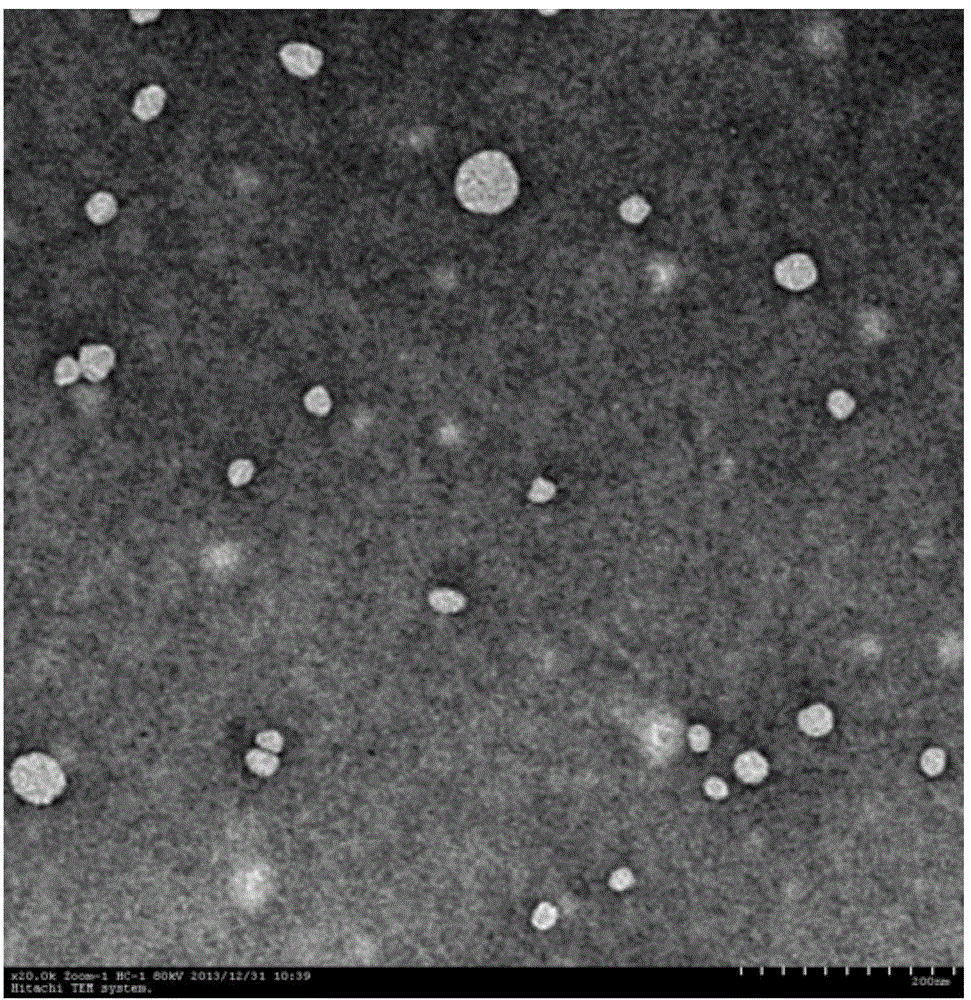 Cryptotanshinone skin cutin liposomal preparation and preparing method thereof