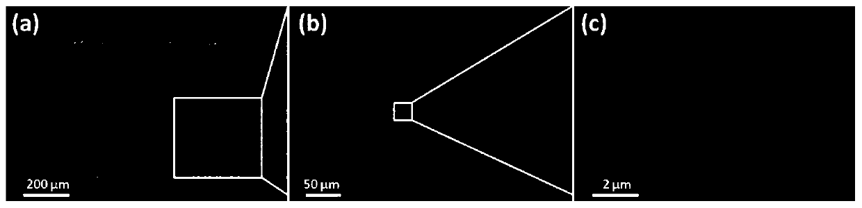 A kind of copper network with superamphiphobic property and its preparation method and application