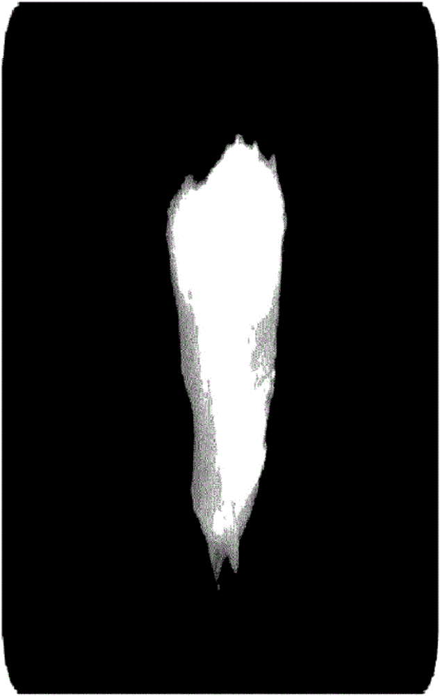 Biomaterial having enhanced rubber properties through natural cross-linkage of collagen and hyaluronic acid, preparing method thereof, and using method thereof