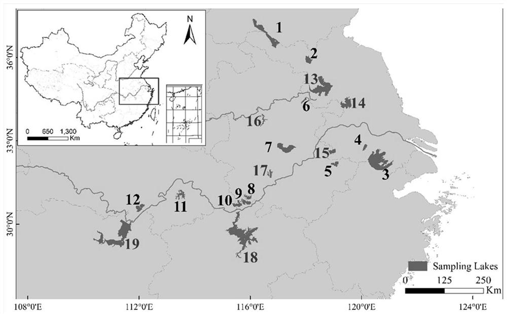 Lake eutrophication inversion method based on remote sensing data