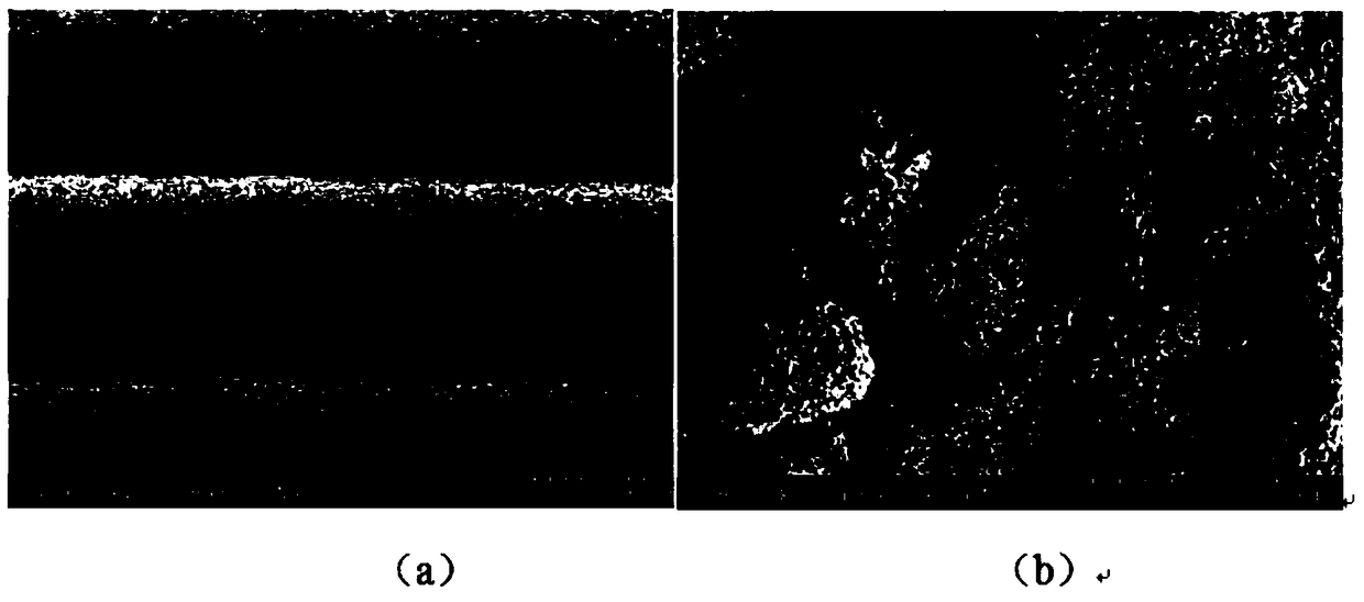 Preparation method for porous calcium phosphate stent