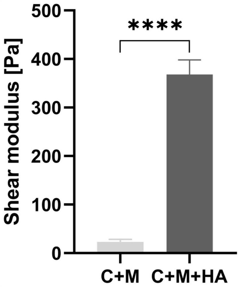 Method for constructing glioma in-vitro 3D culture and analysis system and application