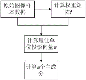 Facial Feature Extraction Method Based on Sample Pair Weighting Based on lp Norm