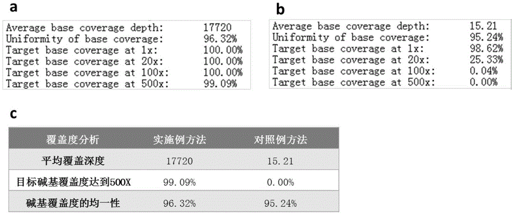 DNA database establishing method for high-throughput sequencing