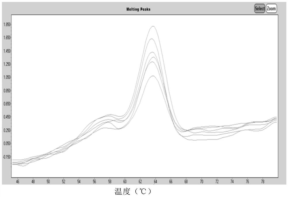 Human Coronavirus Nucleic Acid Multiplex Detection Kit