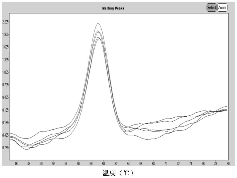 Human Coronavirus Nucleic Acid Multiplex Detection Kit