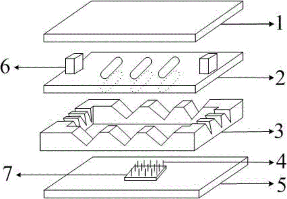 Multi-electrode microsensor for detecting copper metal vapor concentration