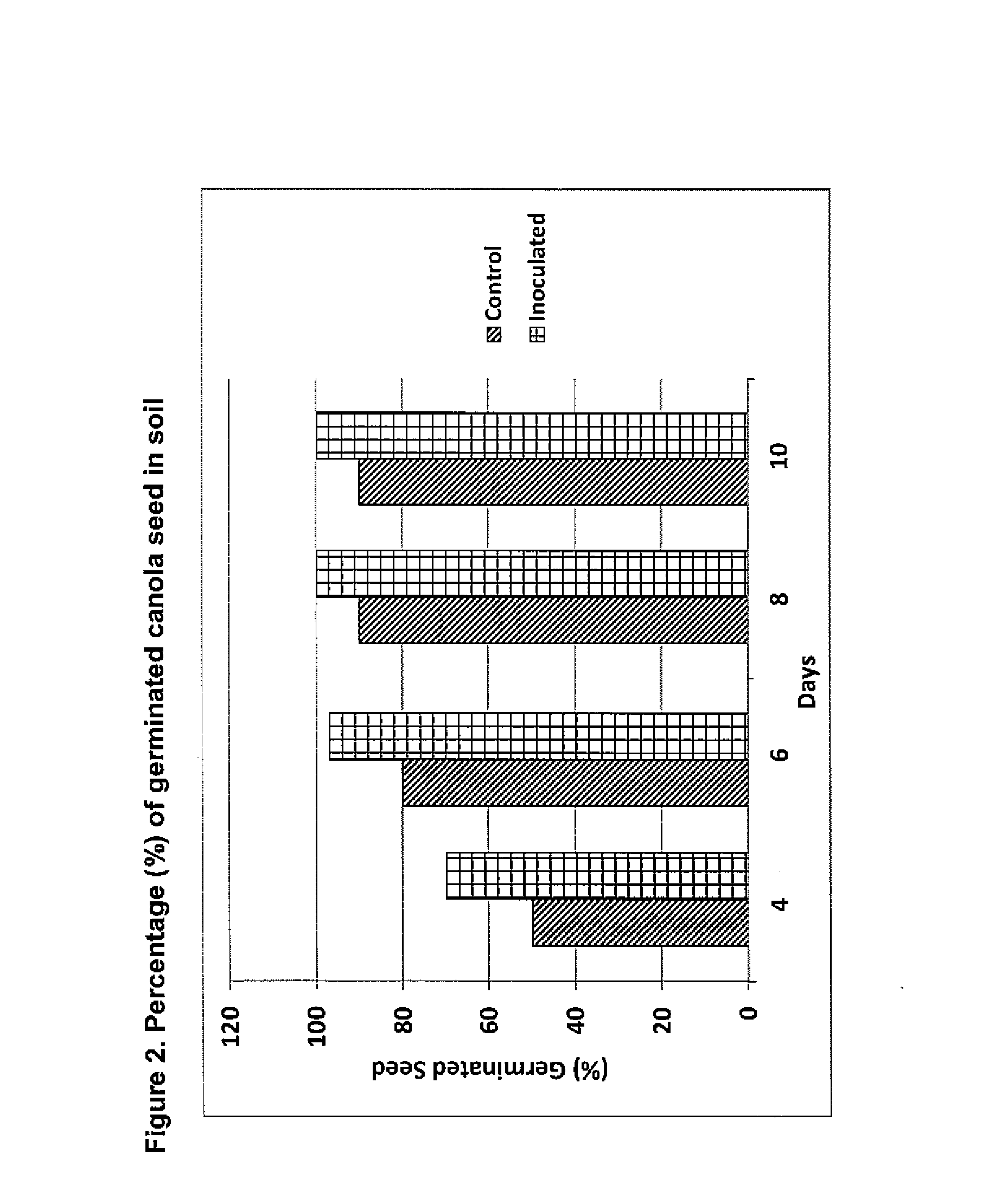 Phosphate solubilizing rhizobacteria bacillus firmus as biofertilizer to increase canola yield