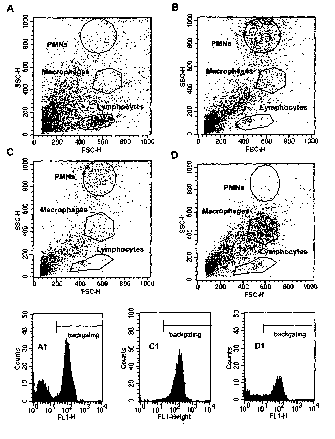 Method for diagnosis of, and determination of susceptibility to bovine mastitis