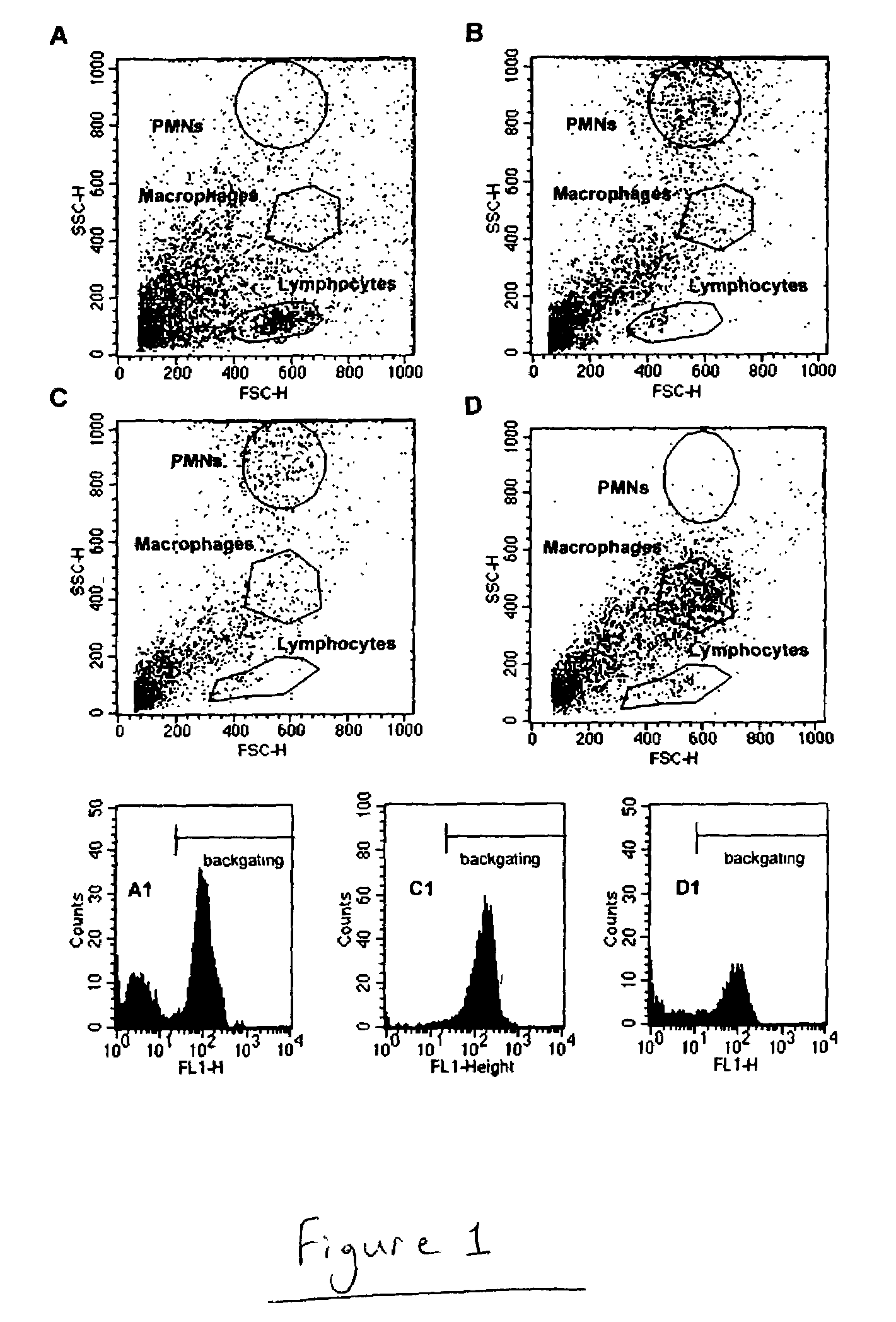 Method for diagnosis of, and determination of susceptibility to bovine mastitis