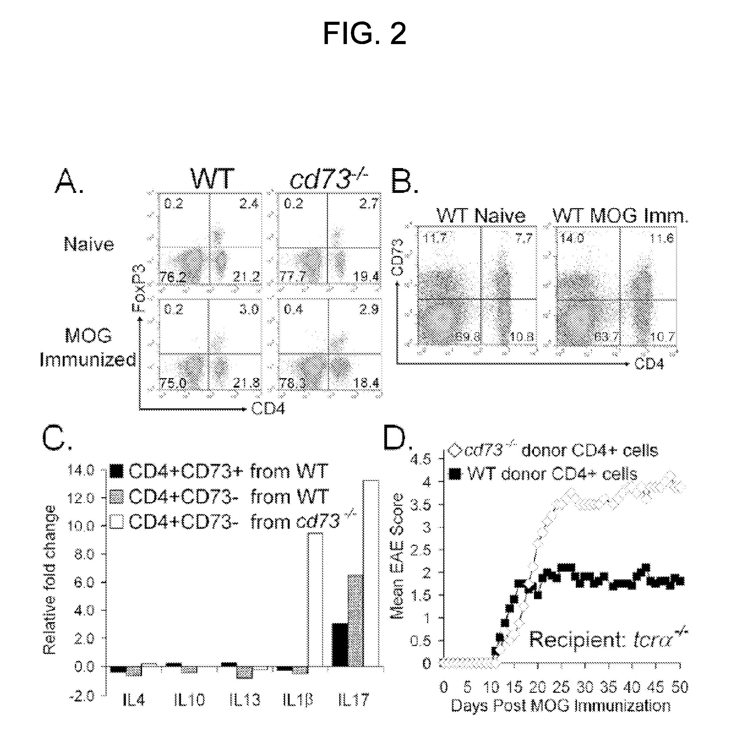 Modulation of blood brain barrier permeability