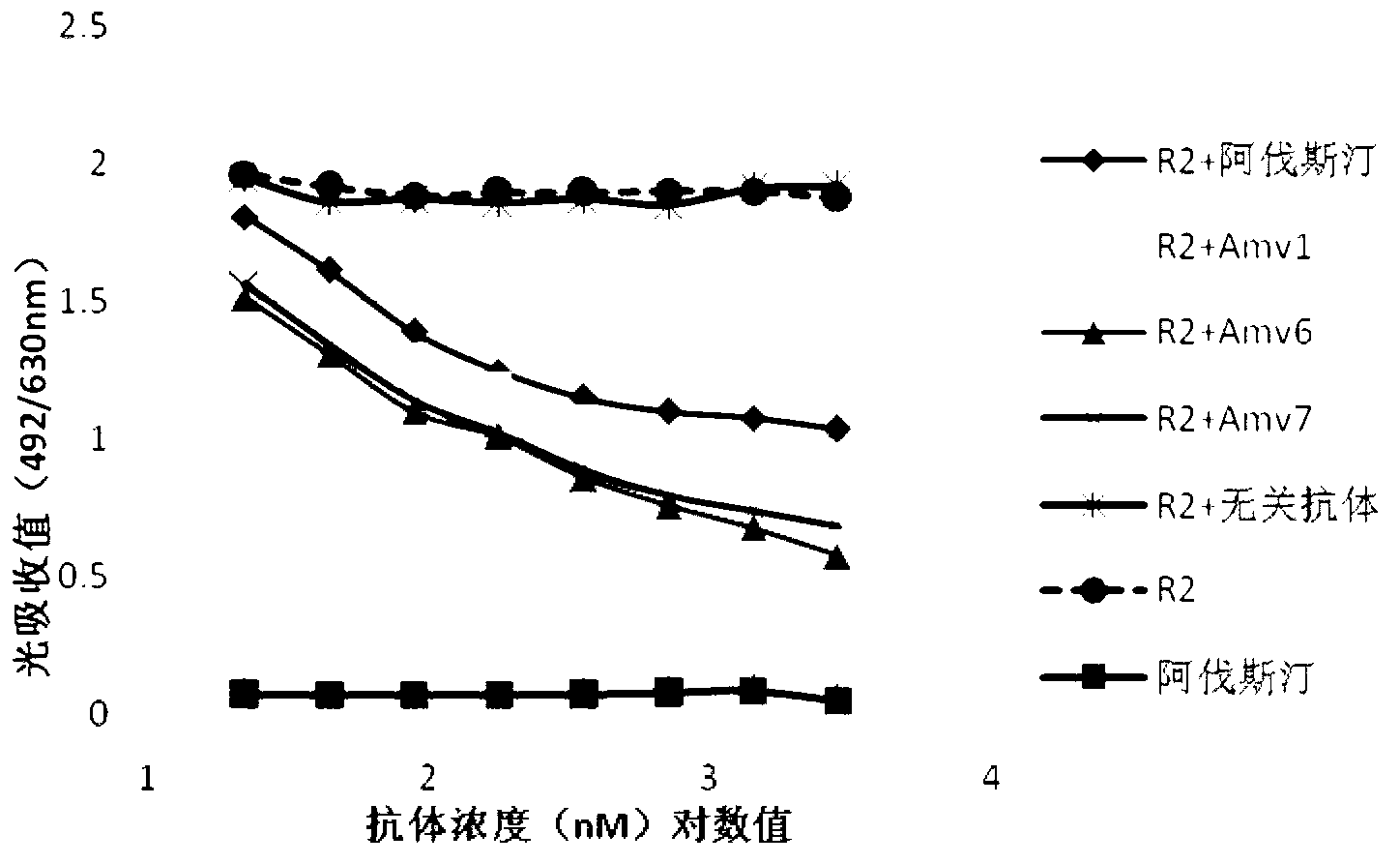 Human anti-vascular endothelial cell growth factor antibody and application thereof