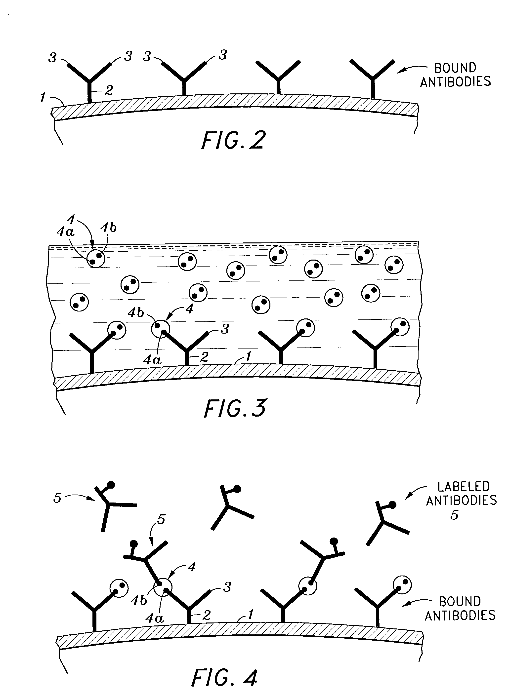 Immunoassays, assay methods, antibodies and method of creating antibodies for detecting FGF-23