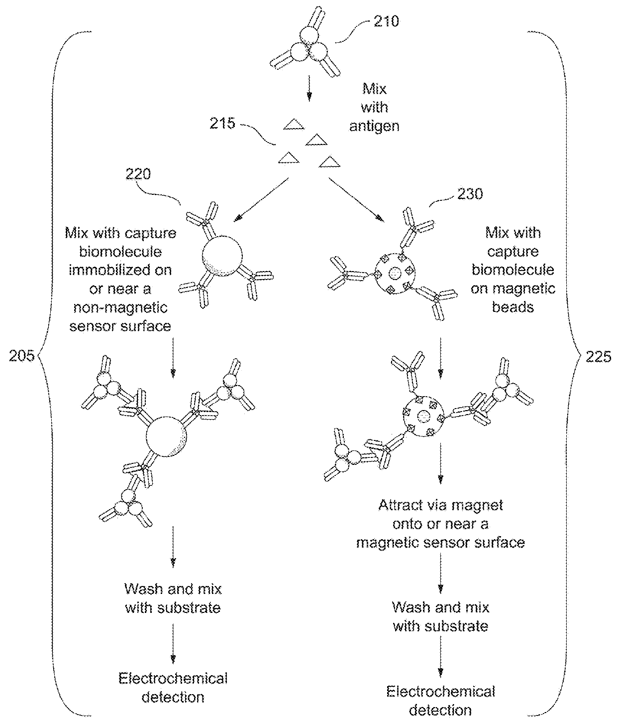 Combined immunoassay and magnetic immunoassay methods for extended range of sensitivity