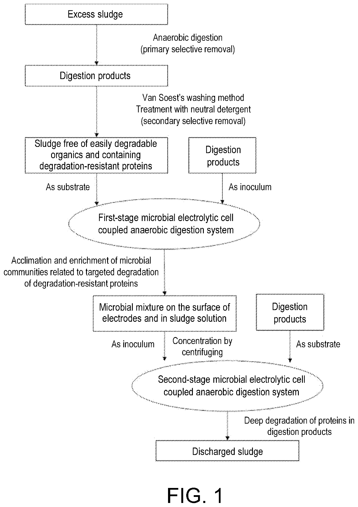 Method for enhancing deep degradation of proteins in sludge