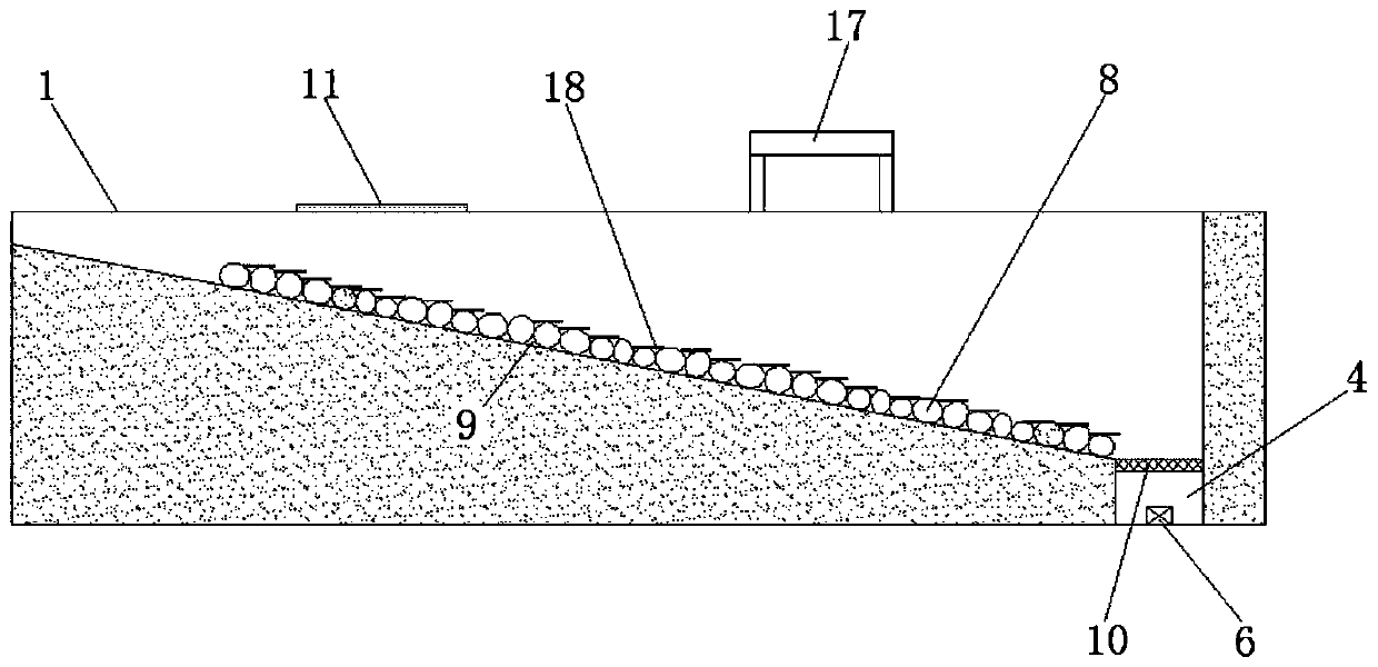 Intensive farming system of Cherax quadricarinatus