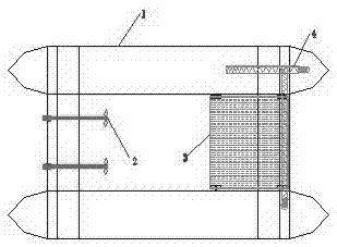 Double-boat type water bloom removal device