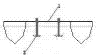 Double-boat type water bloom removal device