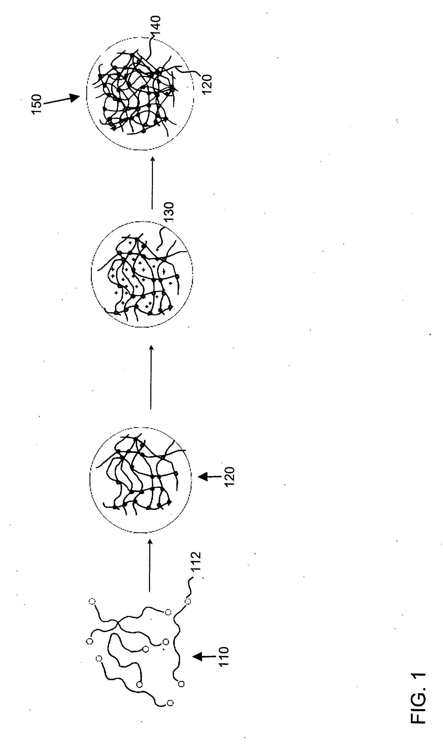 Interpenetrating polymer network hydrogel corneal prosthesis